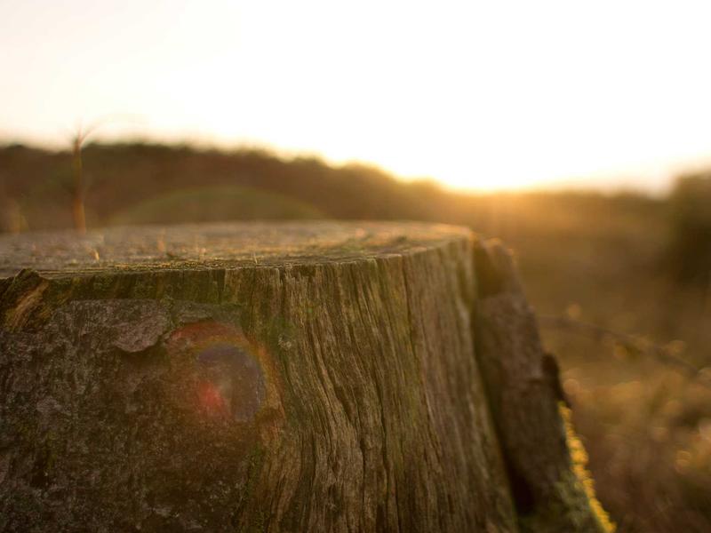 sudoku ios app screenshot 2